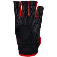 Grays_Anatomic_Pro_5