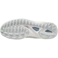 Mizuno_Wave_Leopardus_1