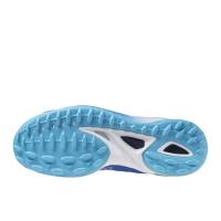 Mizuno_Wave_Leopardus_5