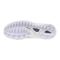Mizuno_Wave_Leopardus__3