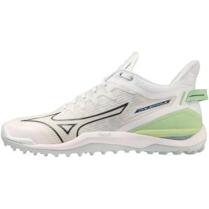 Mizuno_Wave_Leopardus